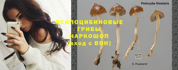 стафф Абаза