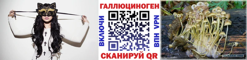 цены наркотик  Алейск  Псилоцибиновые грибы Psilocybe 